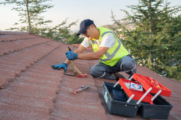 Best Gutter Installation and Roofing  in Belcourt, ND