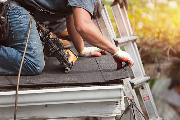 Best Shingle Roofing Installation  in Belcourt, ND