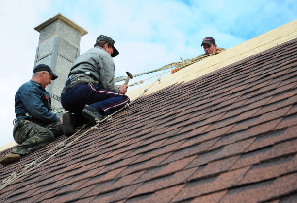 Best Local Roofing Companies  in Belcourt, ND