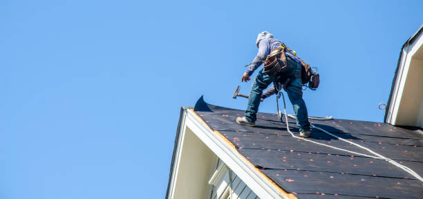Best Roof Replacement Cost  in Belcourt, ND